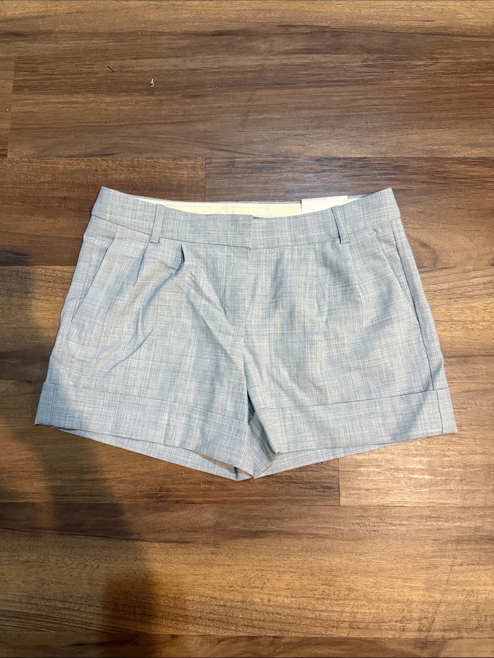 Express Light Blue Women's Tailored Shorts